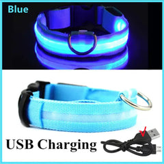 Rechargeable Glow In the Dark Dog Collar