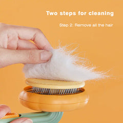 Pumpkin Pet Brush, Self Cleaning  Brush