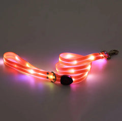 Rechargeable LED Pet Nylon Leash