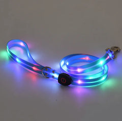 Rechargeable LED Pet Nylon Leash