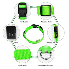 Rechargeable Glow In the Dark Dog Collar