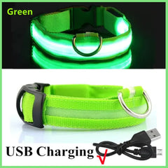 Rechargeable Glow In the Dark Dog Collar