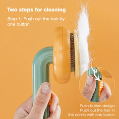 Pumpkin Pet Brush, Self Cleaning  Brush