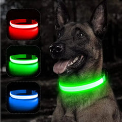 Rechargeable Glow In the Dark Dog Collar