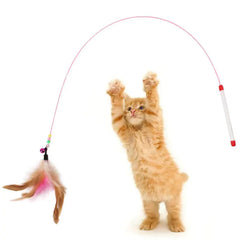 Feather Tease Cat Toys