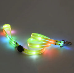 Rechargeable LED Pet Nylon Leash