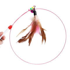 Feather Tease Cat Toys