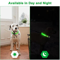 Rechargeable Glow In the Dark Dog Collar