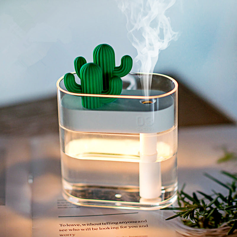 Ultrasonic Clear Humidifier