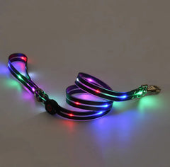 Rechargeable LED Pet Nylon Leash