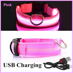 Rechargeable Glow In the Dark Dog Collar