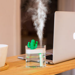 Ultrasonic Clear Humidifier