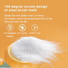 Pumpkin Pet Brush, Self Cleaning  Brush