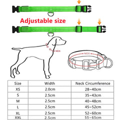 Rechargeable Glow In the Dark Dog Collar